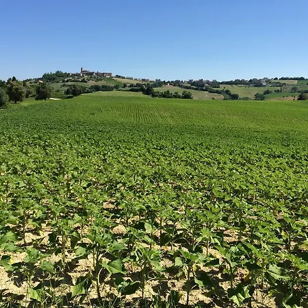 Castellino Pigro