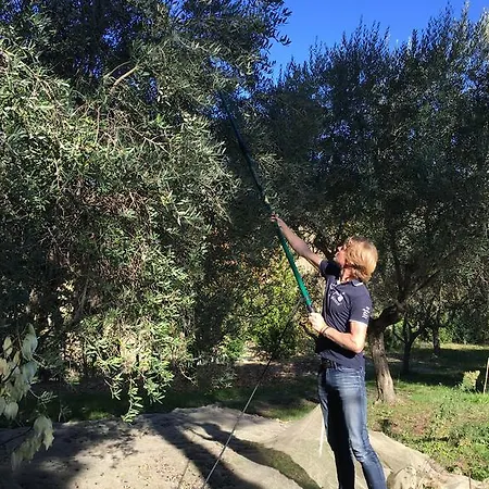 Castellino Pigro * Monte San Pietrangeli